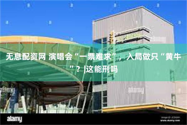 无息配资网 演唱会“一票难求”，入局做只“黄牛”？|这能刑吗