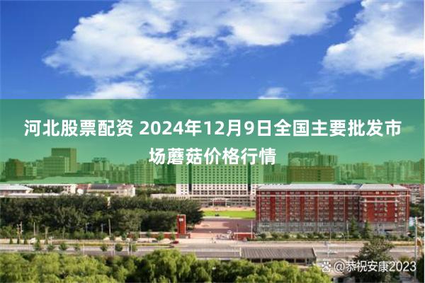 河北股票配资 2024年12月9日全国主要批发市场蘑菇价格行情