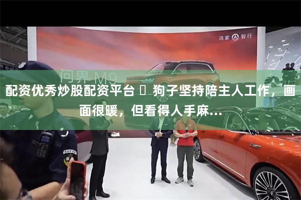 配资优秀炒股配资平台 ​狗子坚持陪主人工作，画面很暖，但看得人手麻...