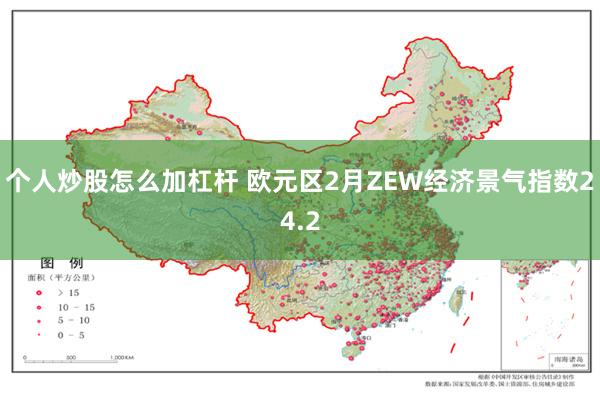 个人炒股怎么加杠杆 欧元区2月ZEW经济景气指数24.2
