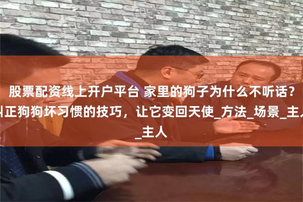 股票配资线上开户平台 家里的狗子为什么不听话？纠正狗狗坏习惯的技巧，让它变回天使_方法_场景_主人