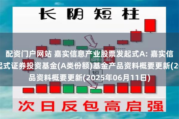 配资门户网站 嘉实信息产业股票发起式A: 嘉实信息产业股票型发起式证券投资基金(A类份额)基金产品资料概要更新(2025年06月11日)
