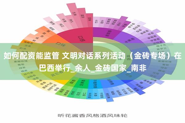 如何配资能监管 文明对话系列活动（金砖专场）在巴西举行_余人_金砖国家_南非