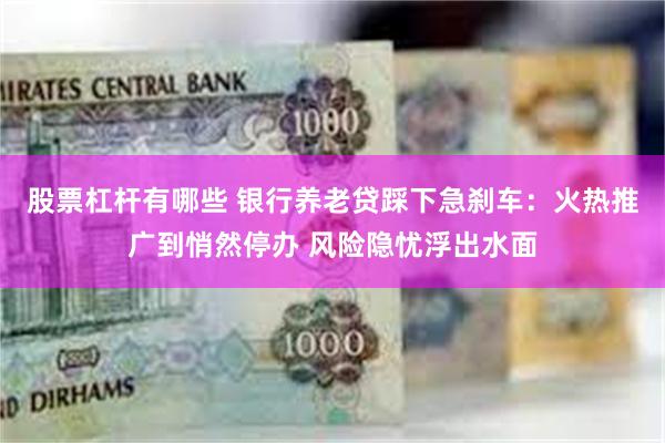 股票杠杆有哪些 银行养老贷踩下急刹车：火热推广到悄然停办 风险隐忧浮出水面