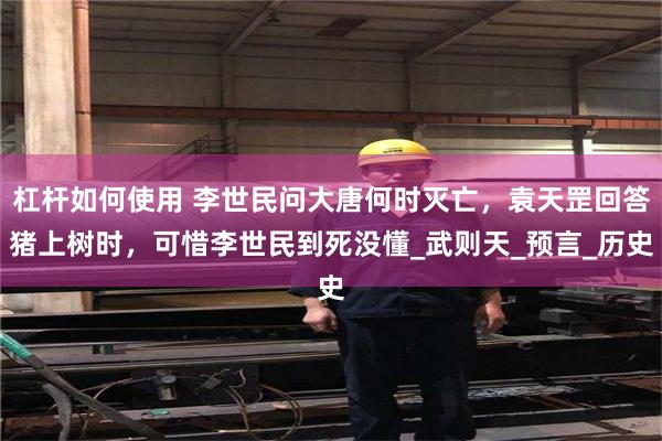 杠杆如何使用 李世民问大唐何时灭亡，袁天罡回答猪上树时，可惜李世民到死没懂_武则天_预言_历史